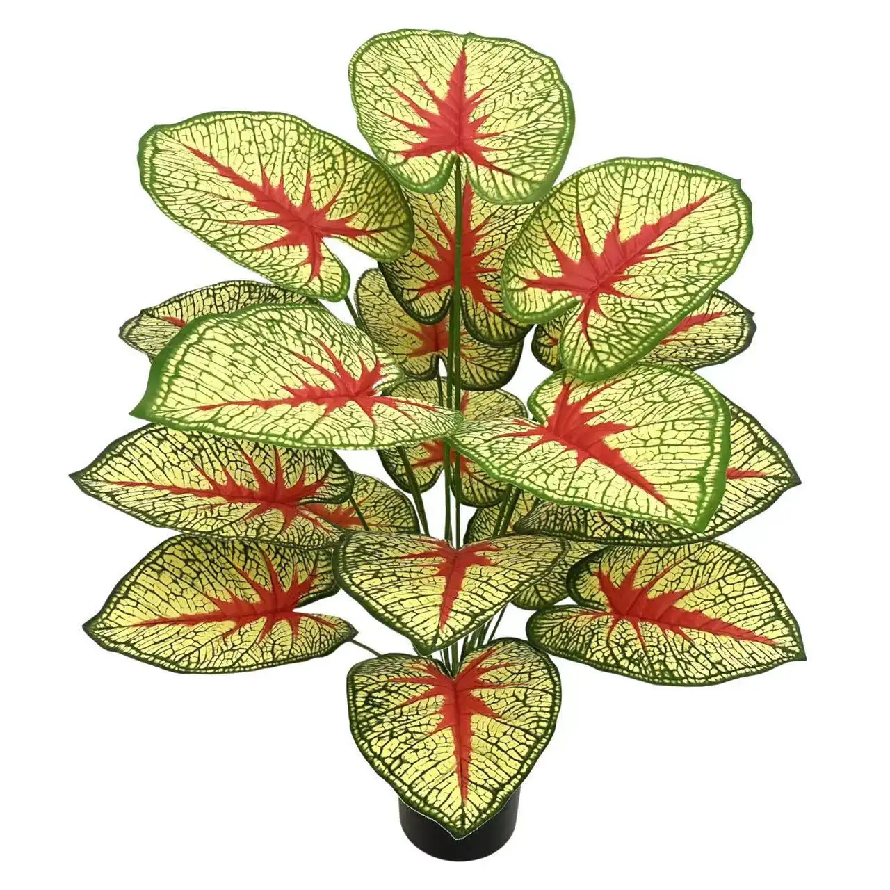 Simulation de décoration maison de mariage plante verte grande couleur feuilles de taro