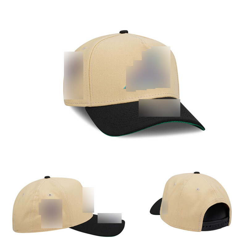 Camel+black-2
