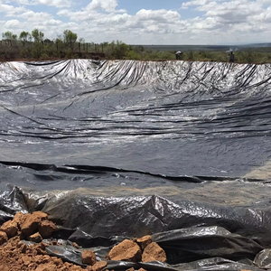 フィッシュファーム池のライナー190gsm <span class=keywords><strong>Hdpe</strong></span> GeomembraneブラックPE素材シュプリムハイプ養殖水タンクキノコ温室栽培
