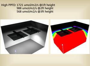 Led ışık büyümek 720W 800W 1000W LED hidroponik ışık 301B/301H çip ile ticari kapalı büyüyen - Product Image 3