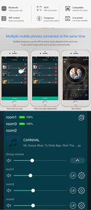 Il Software di controllo delle App per annunci vocali remoti supporta le funzioni di riproduzione di musica Broadcast e Intercom in Stock - Product Image 6