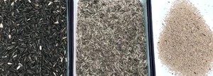 Low Breakage Rate Customized High Efficiency <strong>and</strong> Performance Sunflower Threshing <strong>Machine</strong> Peeling <strong>Shelling</strong> <strong>Machine</strong> - Product Image 5