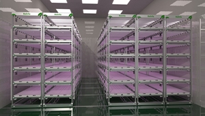 Système de support de croissance vertical Marché du Canada Stockage de tuyaux en acier inoxydable Rayonnage hydroponique - Product Image 4