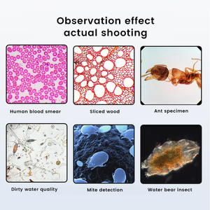 体视显微镜40X学生双目显微镜LED光源实验室生物显微镜 - Product Image 4