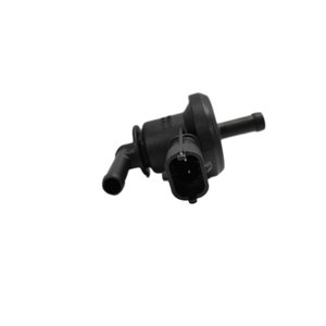 Yüksek kaliteli otomobil parçaları 29010-2B000 teneke kutu Solenoid buhar teneke kutu kontrol vanası Hyundai Kia 290102B000
