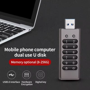 2024新的趋势定制标志安全数字密码锁1gb 2GB u盘USB3.0 Pendrive u盘 - Product Image 3