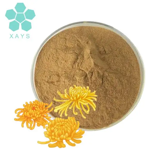 Poudre d'extrait de fleur de chrysanthème Certificat halal Extrait d'indicum de chrysanthème