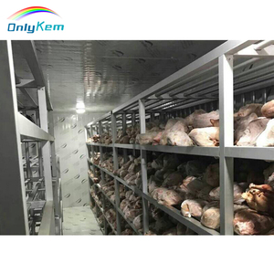 Walk-in <strong>Blast</strong> Freezer and Chiller for Chicken and Frozen Meat Storage Cool Room Cold Storage - Product Image 2