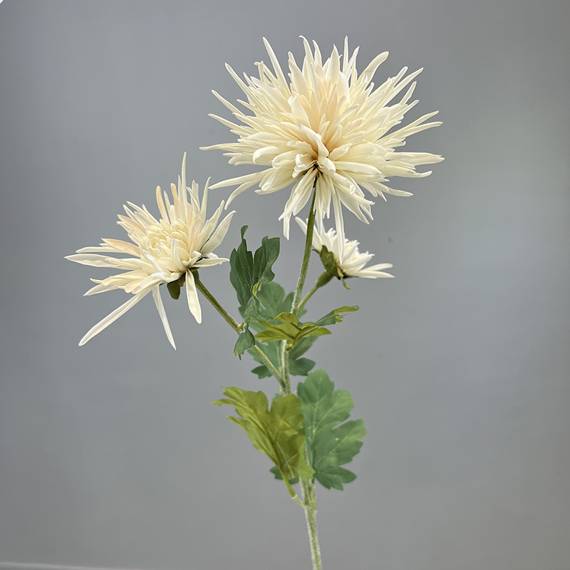 Blanc d'automne