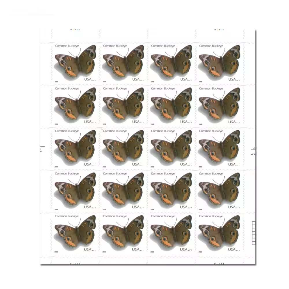2006 Mariposa de ojo de venado común MY-RX219