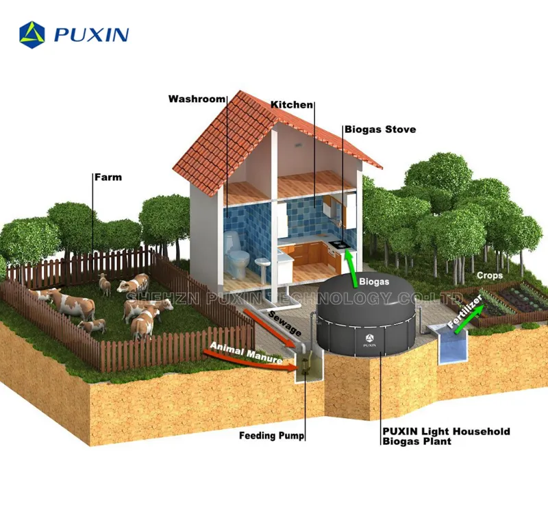 PUXIN 15M3 바이오 가스 연료 생산을 위한 유기 폐기물 동물 분뇨 처리용 단순 조립 바이오 가스 소화기