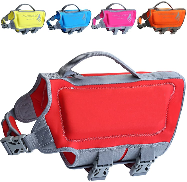 dog life jacket 15