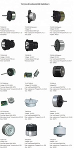 Fornitore della Cina 8833 motore a corrente continua ad alta coppia ad alta potenza 24v dc motore brushless con controllo PWM - Product Image 6