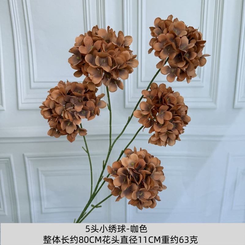 5 petites hortensias