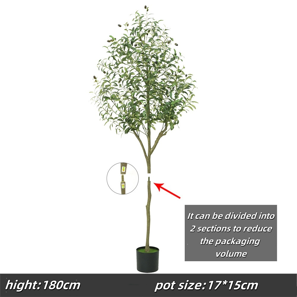 180cm olive tree, type a