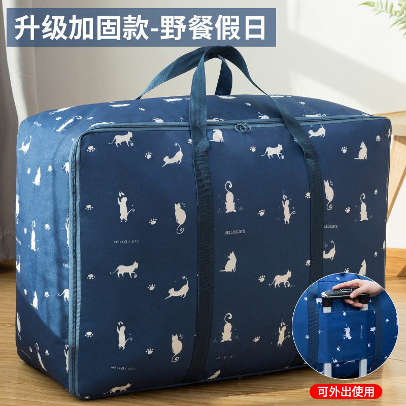 Navy Blue Cat