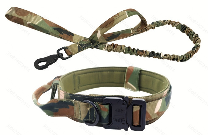 Collar y correa de camuflaje.