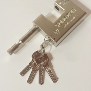 Cadenas de conteneur d'expédition en fer de haute sécurité robustes cadenas de sécurité supérieurs <span class=keywords><strong>anti</strong></span>-coupure en gros - Product Image 5