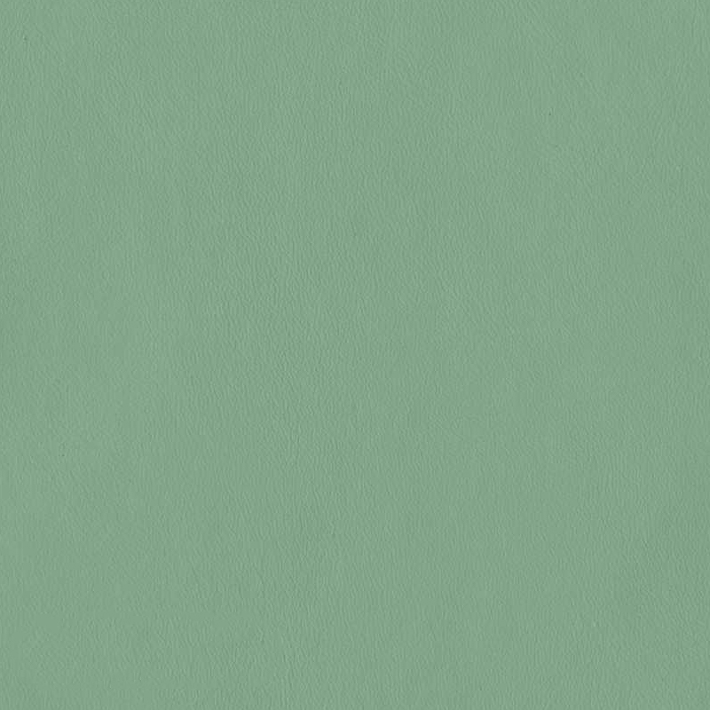 14# Vert mousse