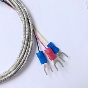 A/B级M6螺钉PT100型温度传感器，带SS编织电缆3根线 - Product Image 3