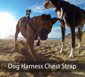 สายรัดหน้าอกสำหรับกล้องแอคชั่น GoPro HERO 8 7 5 Session SJCAM SJ4000 Yi 4K H9 DJI Insta360ใหม่ - Product Image 4