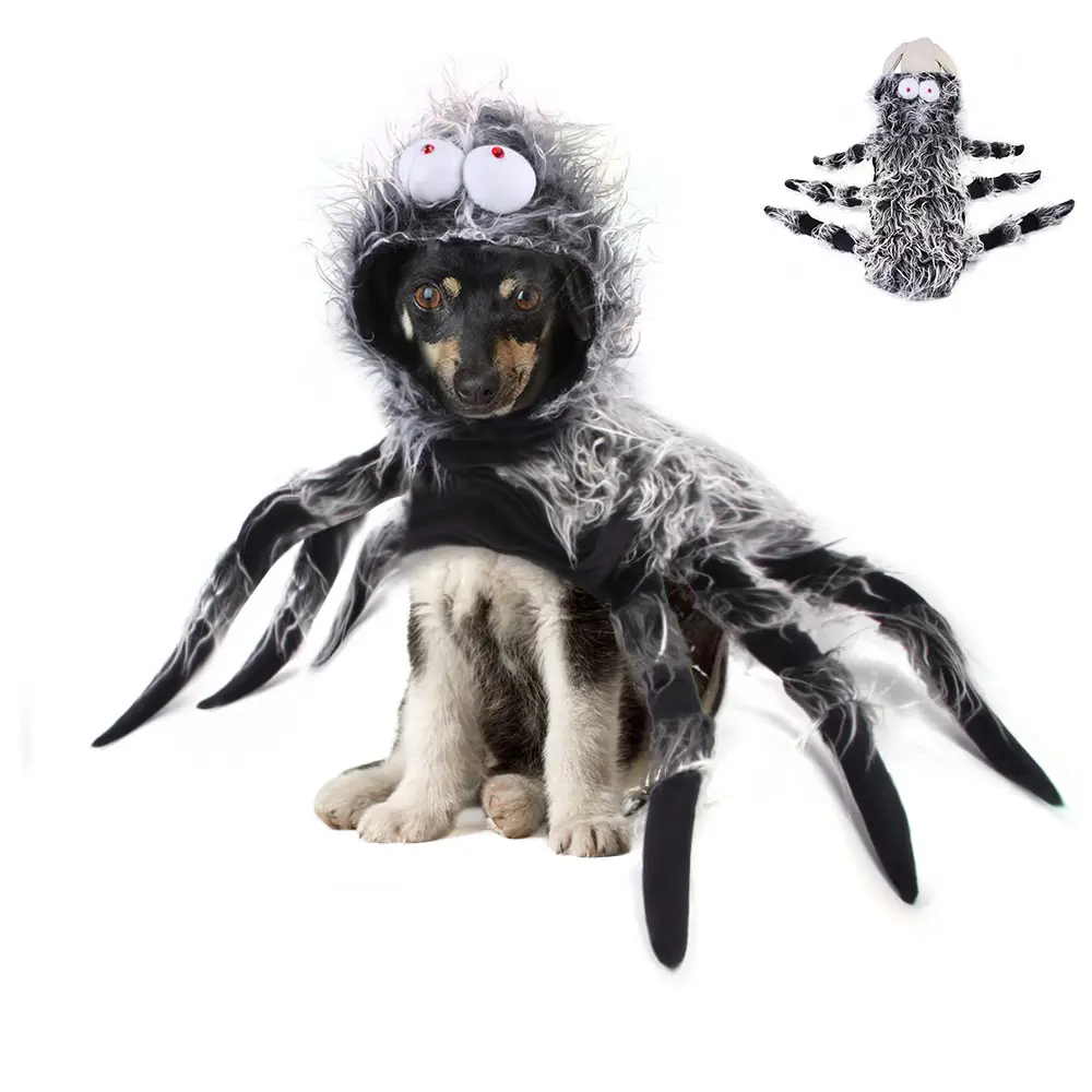 Amazon Halloween Eve Decoração Carnaval Aranha Pet Supplies Gatos Cães Halloween Trajes
