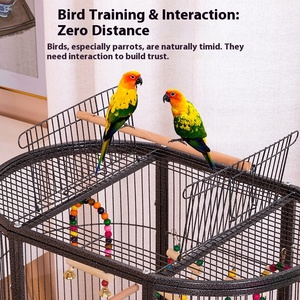 Lồng chim oval lớn bằng acrylic trong suốt dành cho vẹt, chim cảnh, chim bồ câu, vẹt con, có giá đỡ bên ngoài để sinh sản - Product Image 3