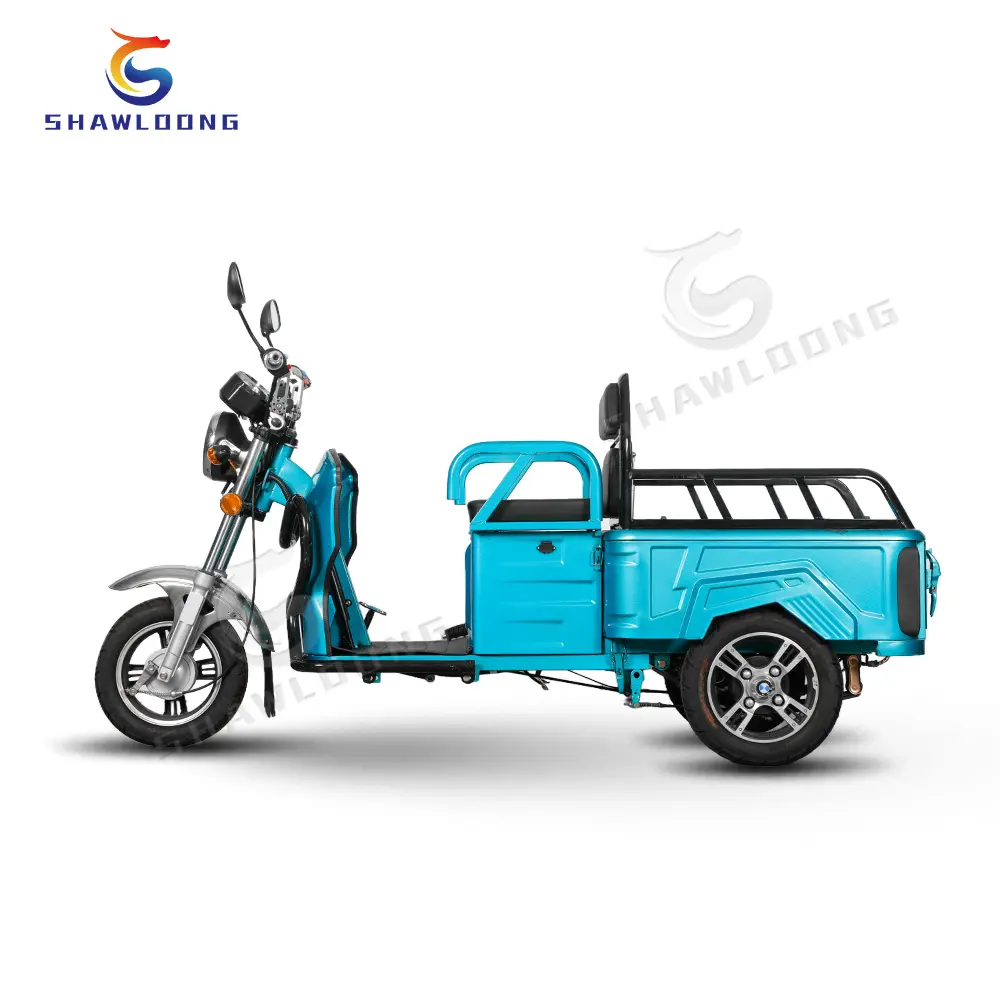 Электрический мопед 800 Вт, Электрический трехколесный электрический скутер для взрослых, оптовая продажа, 40 км/ч, трехколесный светодиодный 12 трубный