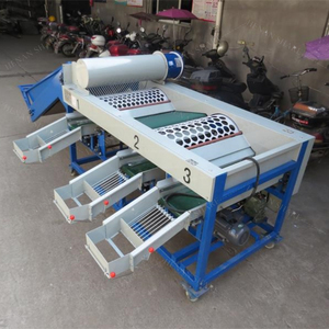 Macchina automatica per la classificazione delle cipolle e la classificazione delle cipolle con bulbo d'aglio e dimensioni per la selezione della frutta macchina per la classificazione delle cipolle di mela arancione fragola
