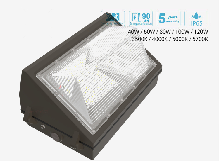LED WALL PACK