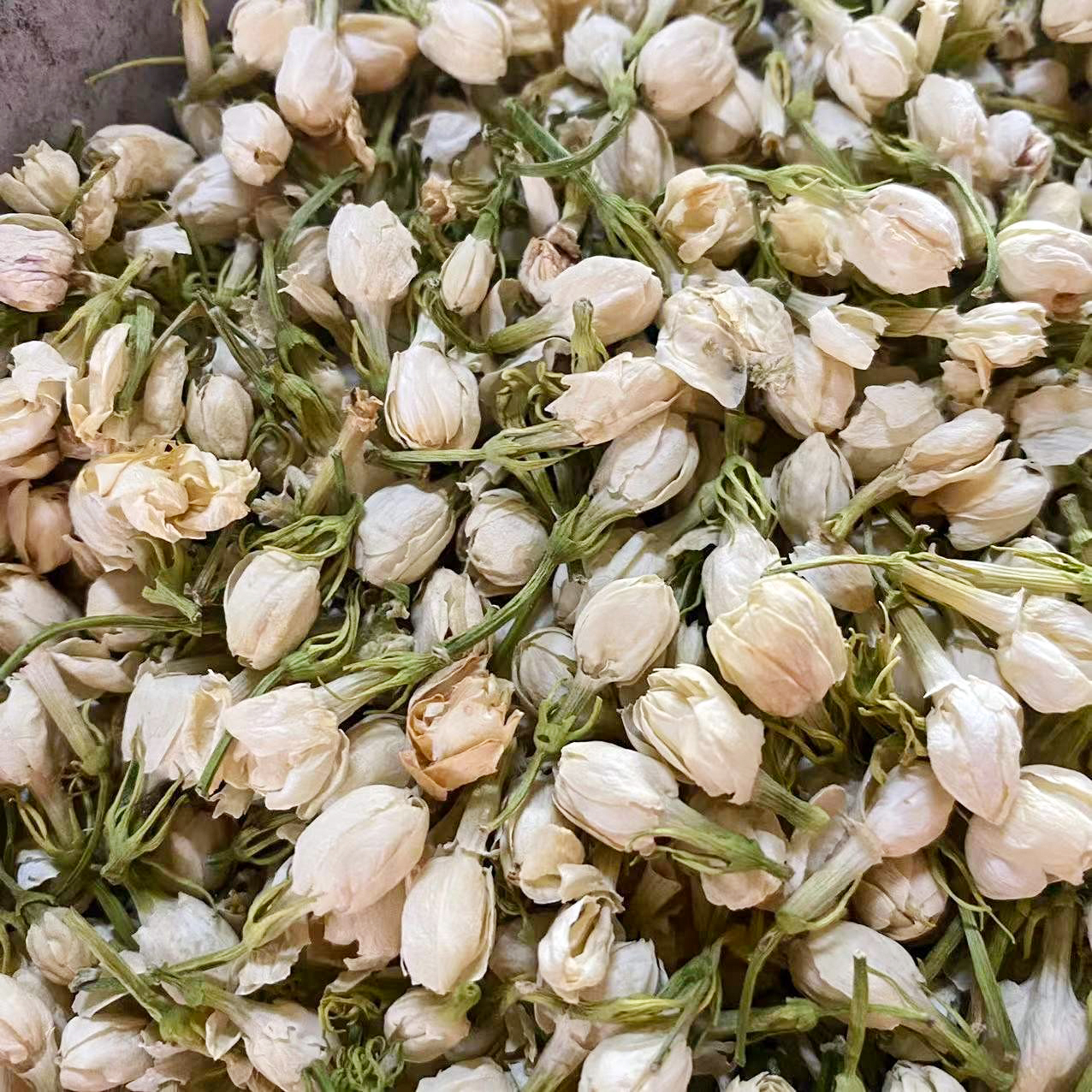 Boutons de fleurs de jasmin blanc sélectionnés