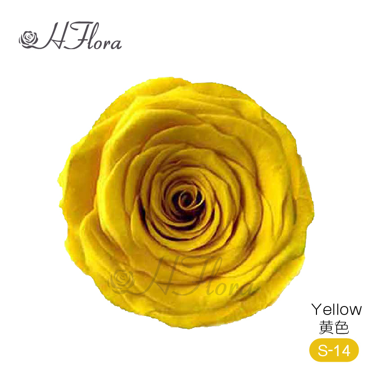 Amarillo