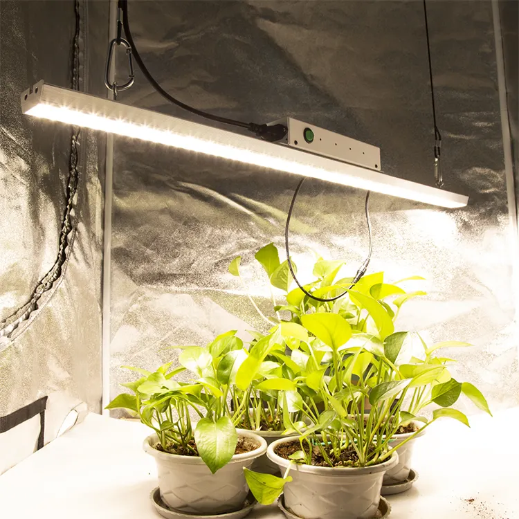 Cf는 베스트 셀러 1 바 LM301B 140pcs 전체 스펙트럼 원예 LED 식물 램프 phytolamp에 대 한 빛을 성장 텐트 성장