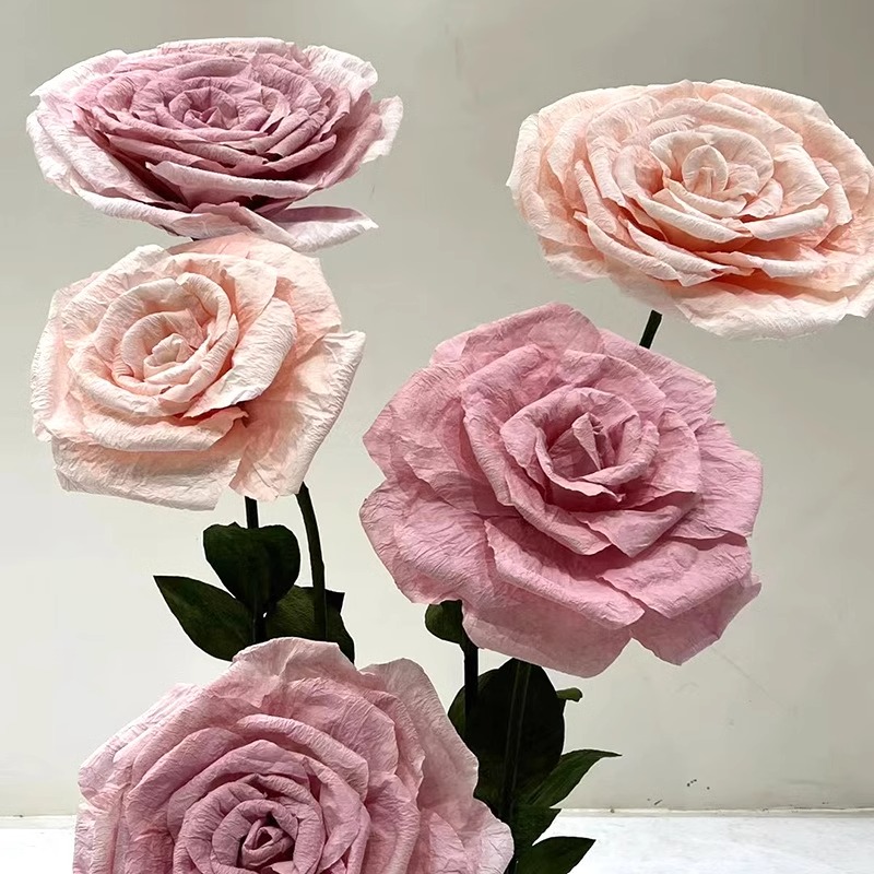 50 cm
