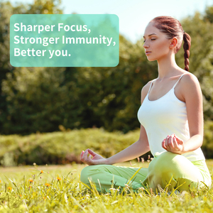 Bán buôn OEM nhãn hiệu riêng 10 trong 1 Hữu Cơ sư tử bờm nấm chiết xuất gummies bổ sung Adaptogen nootropic cho não - Product Image 5