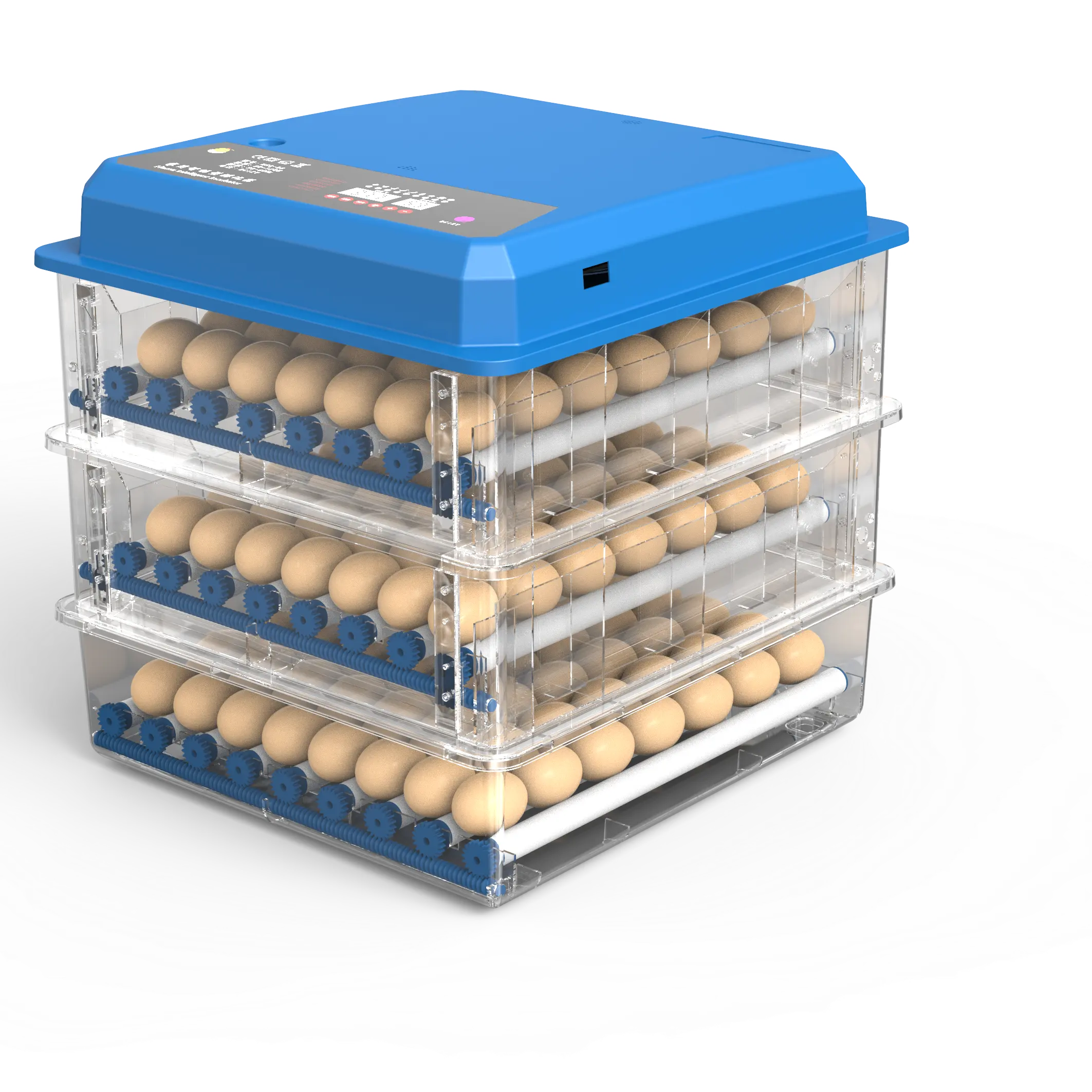 Mini incubateur Quil/incubateur, incubateur automatique d'œufs de poule, hygromètre pour incubateur