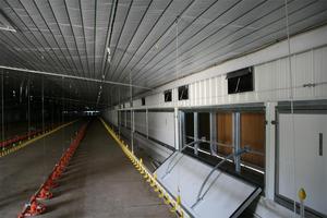 Chicken Farm Shed Steel Structure Prefab House Automatic Layer Broiler Poultry Cage System