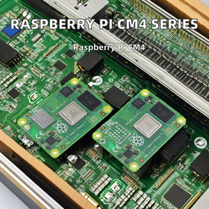 Raspberry Pi schede di sviluppo kit CM4001000 CM4002000 CM4004000 CM4008000 CM4001008 CM4002008 CM4004008 CM4008008 CM4001016 - Product Image 3