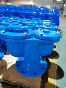 水管系统用铸铁放气阀球墨铸铁手动气体减压阀 - Product Image 2