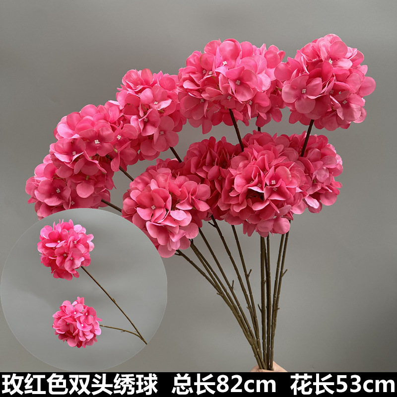 Hortensia de dos cabezas rosa roja