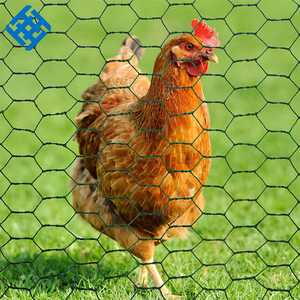 Malla de alambre hexagonal de Pvc para pollo, tela de alambre tejida de malla de alambre hexagonal galvanizada para malla de maceta de pescado de conejo - Product Image 3
