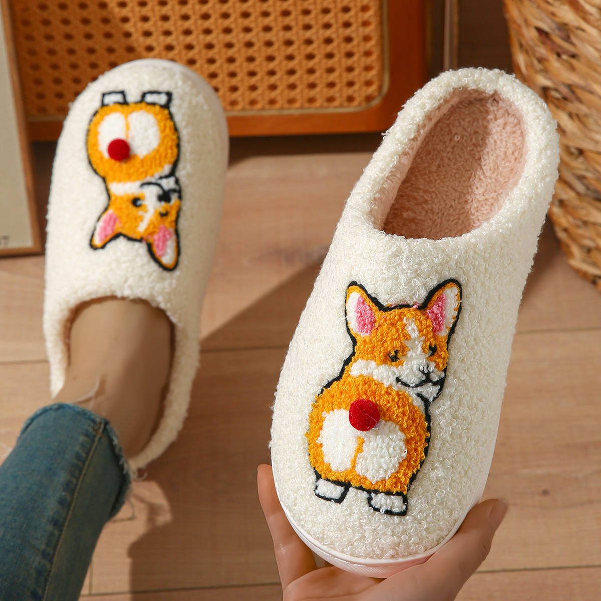 Corgi dog