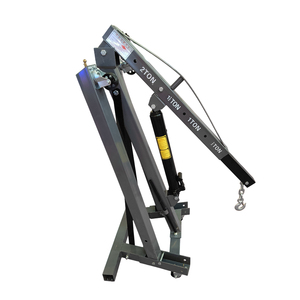 Baixo preço pesado carregamento duplo bombas cor vermelha 2T Folding Engine Shop Crane