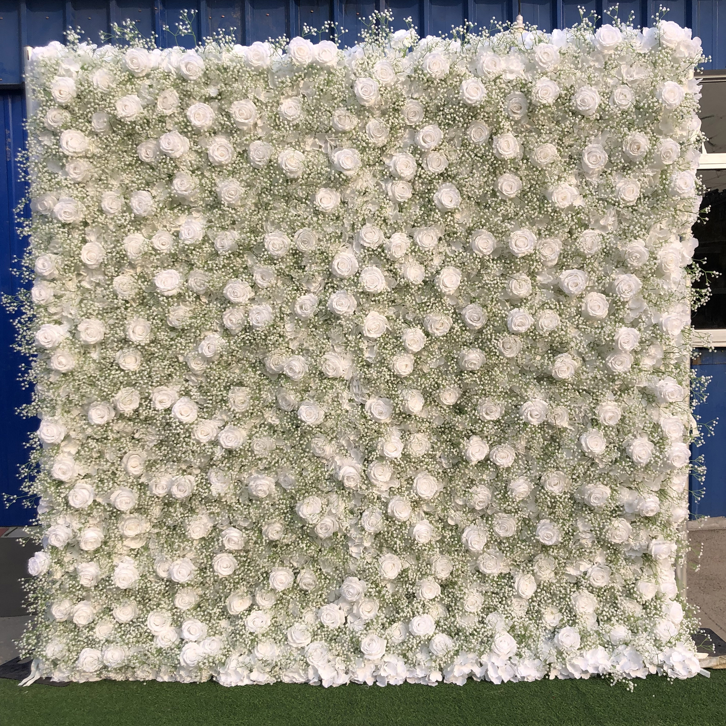 rose baby breath flower wall