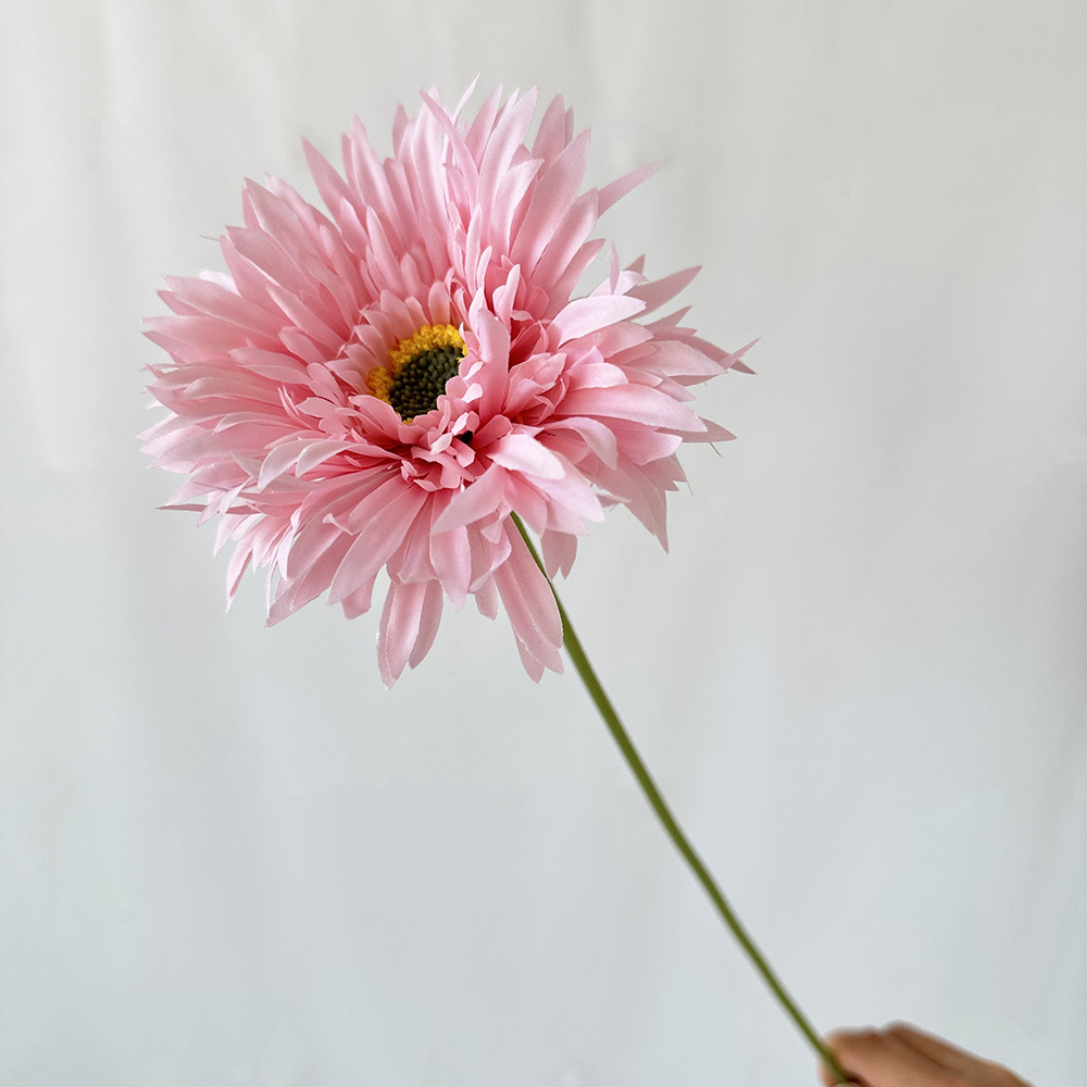 Rose foncé