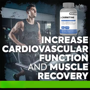 كبسولات L-كارنيتين OEM للبالغين تعزز التمثيل الغذائي للدهون القدرة على التحمل الطاقة تدعم إدارة الوزن - Product Image 2