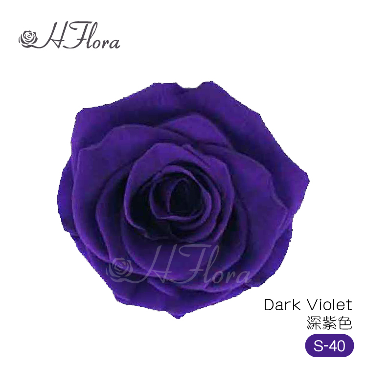 Dark Violet