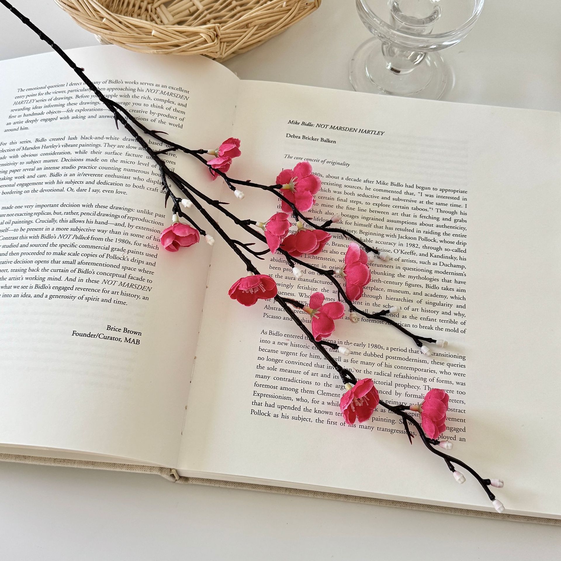 Mini wintersweet rose red
