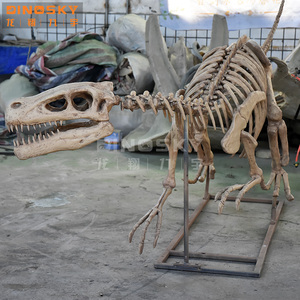 用于展示科学展览的树脂猛禽骨骼化石恐龙模型 - Product Image 3