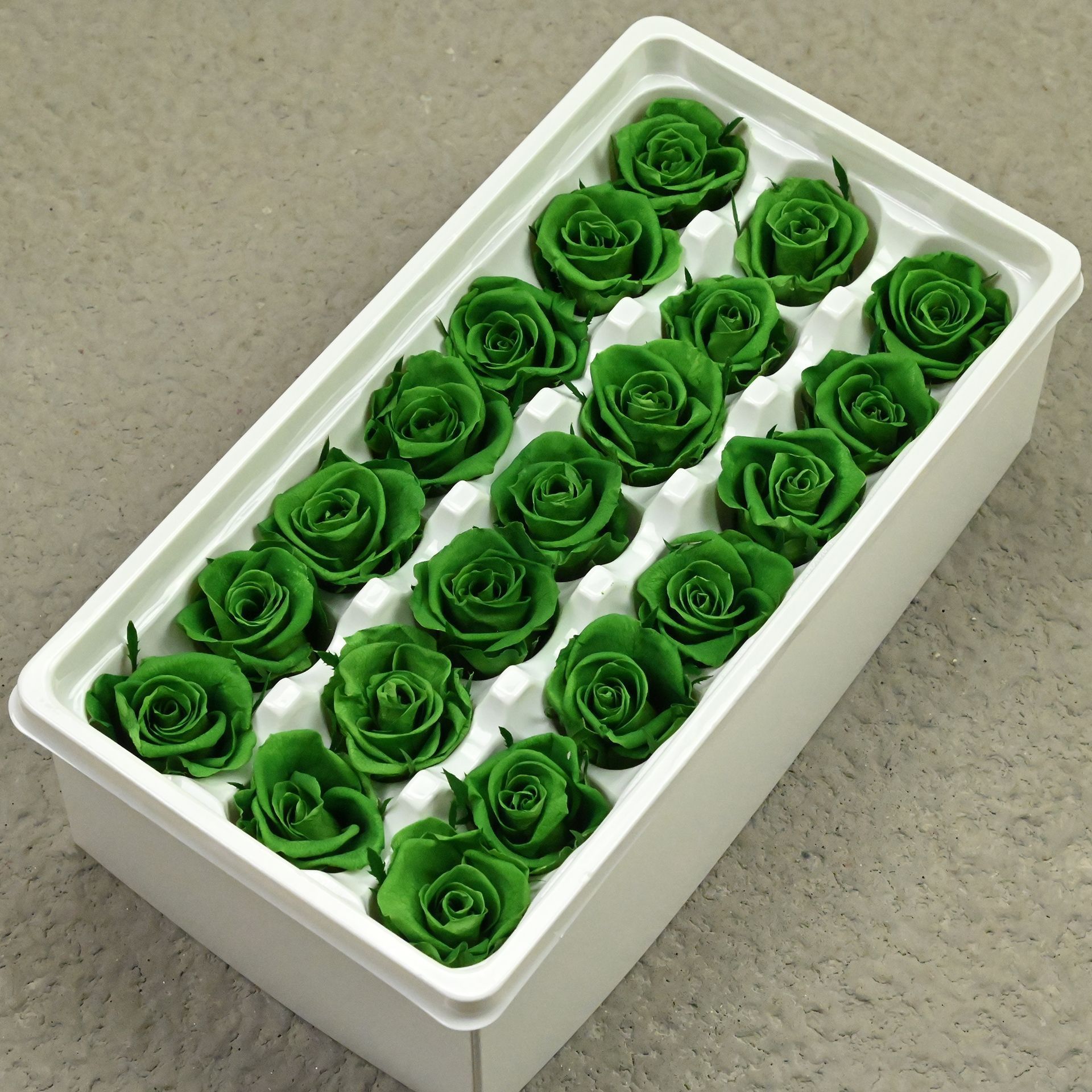 B mei 2-3 green-21 or 24